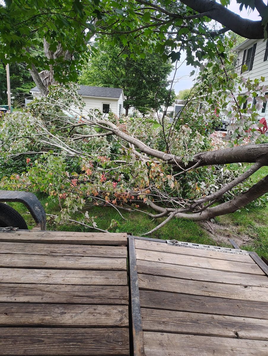 Tree Removal for Big River lawn Care services and snow LLC in Wausau, WI