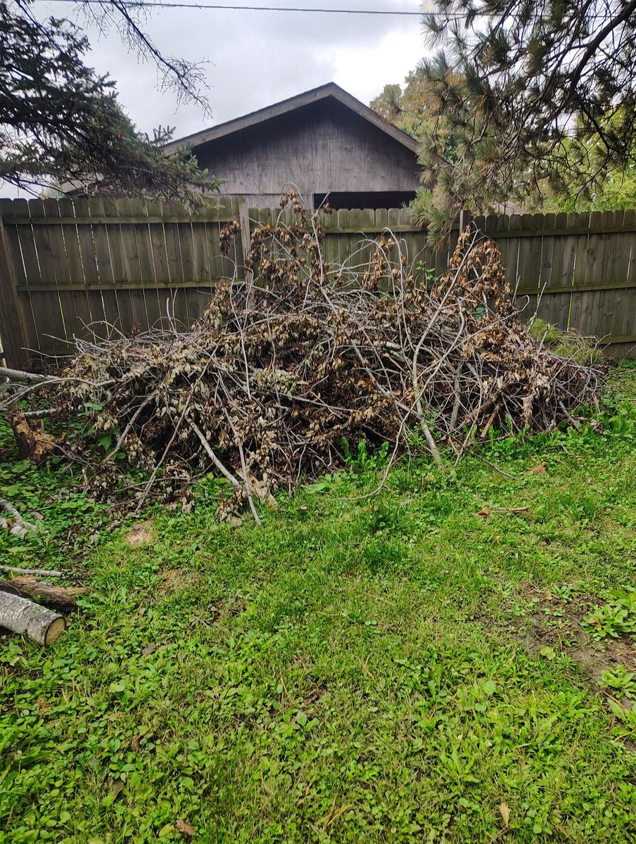 Tree Removal for Big River lawn Care services and snow LLC in Wausau, WI