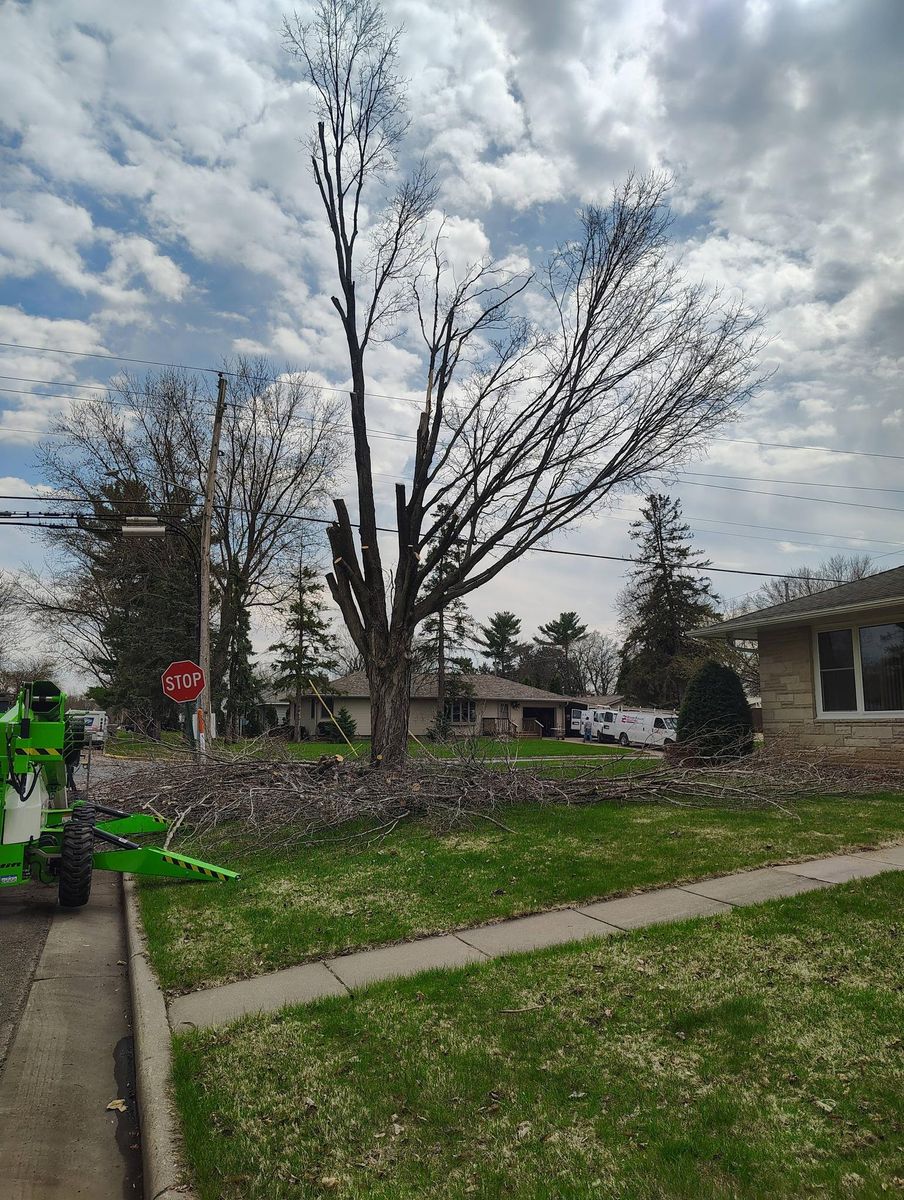Tree Removal for Big River lawn Care services and snow LLC in Wausau, WI