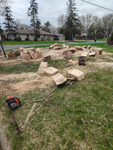 Our Tree Removal service ensures safe, efficient tree extraction while preserving your landscape's beauty. Trust us for reliable solutions, and explore additional offerings like expert snow removal to keep your property pristine year-round. for Big River lawn Care services and snow LLC in Wausau, WI