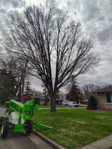 Our Tree Trimming service enhances your landscape's beauty and health with expert shrub trimming, improving growth, shape, and safety. Trust us to maintain vibrant greenery for a stunning outdoor space. for Big River lawn Care services and snow LLC in Wausau, WI