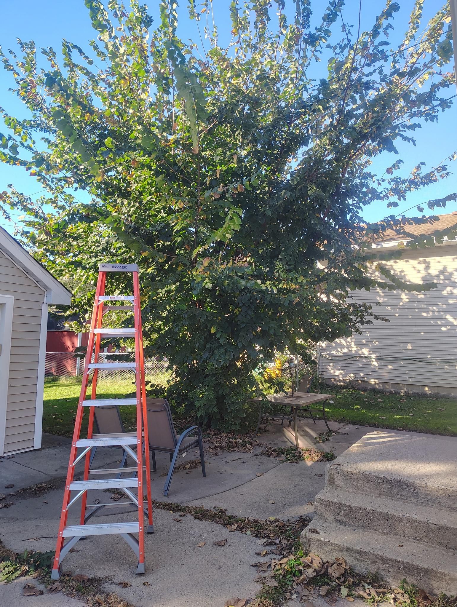 All Photos for Big River lawn Care services and snow LLC in Wausau, WI