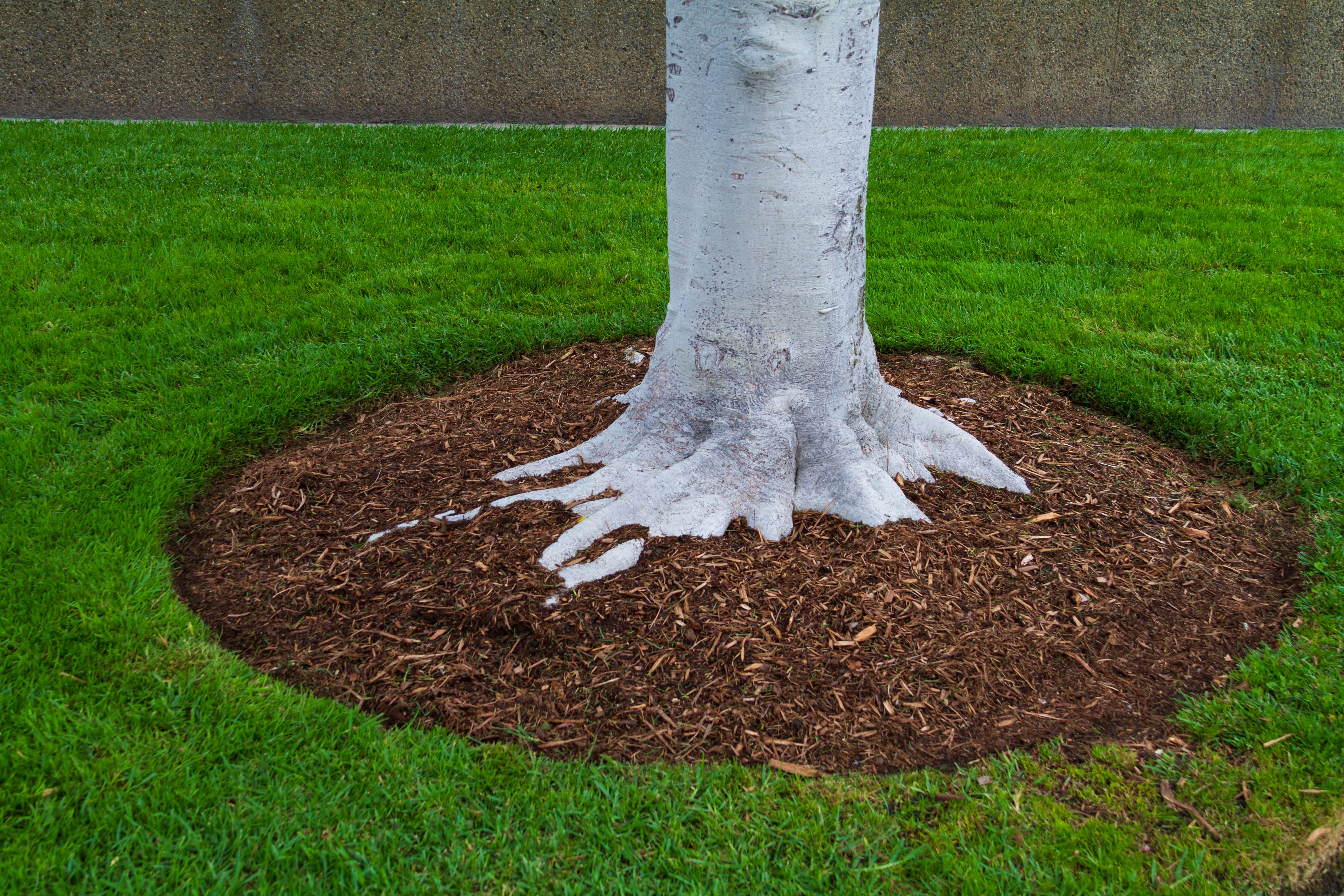 All Photos for Big River lawn Care services and snow LLC in Wausau, WI